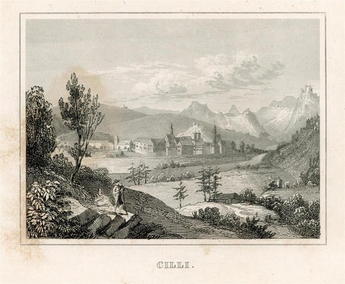 Slovenia celje cilli veduta - slovenia,
