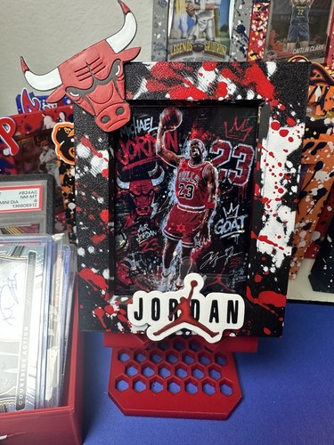 Chicago bulls jordan one touch - bulls,