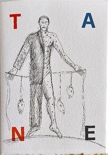 Tane mimmo paladino - tane.,