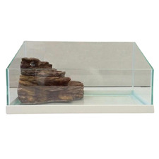 MTB Tarta Sol 40 Tartarughiera