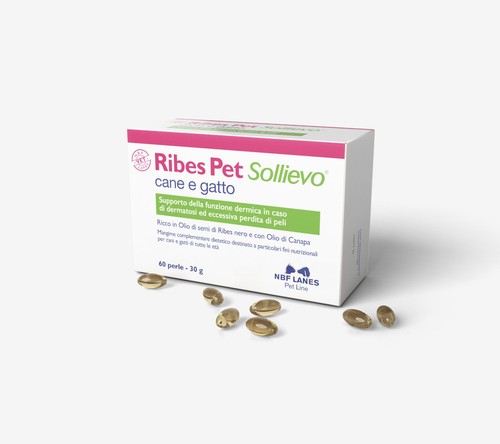 Nbf lanes ribes pet - ribes,
