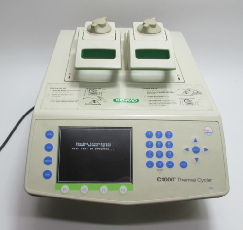 Termociclatore bio rad c1000 - bio-rad,