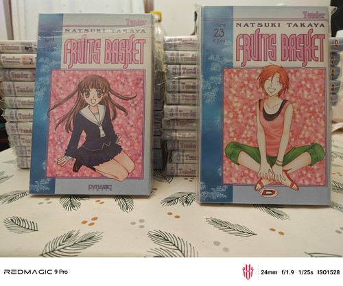 Fruits basket 23 - basket, prima