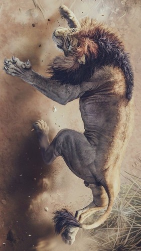 Leone natura 42x25 - a3, cm