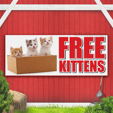 FREE KITTENS Pet Dog Gift