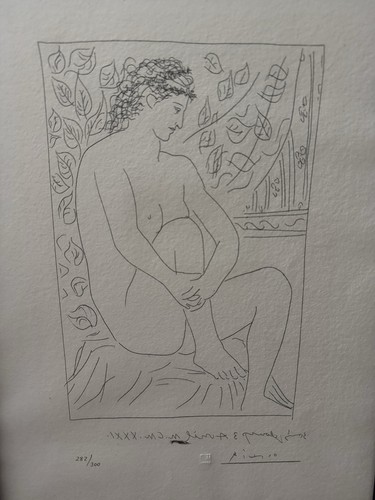 Pablo picasso suite vollard - pablo,
