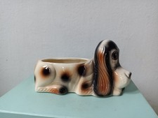 Basset Hound Dog Jema holland