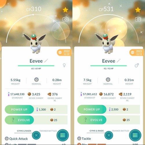 Pokemon shiny eevee che - shiny,