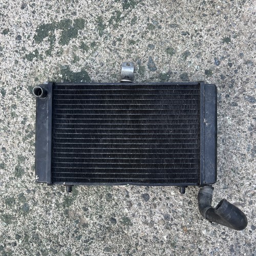 Radiatore aprilia rs125 2006 - radiatore,
