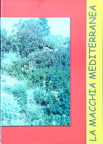 Alla scoperta della - scoperta,