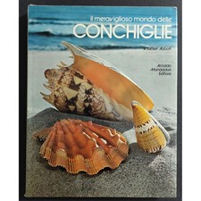 Il Meraviglioso Mondo delle