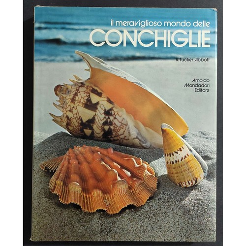 Meraviglioso mondo delle - meraviglioso,