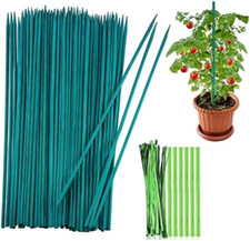 50 bastoncini per piante da 30