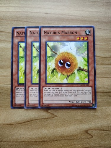 Naturia marron 3x - marron,
