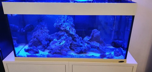 Acquario marino completo