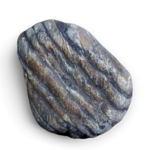 Suiseki pietra naturale - suiseki,