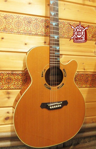 Takamine esf santa fe - takamine, esf-93
