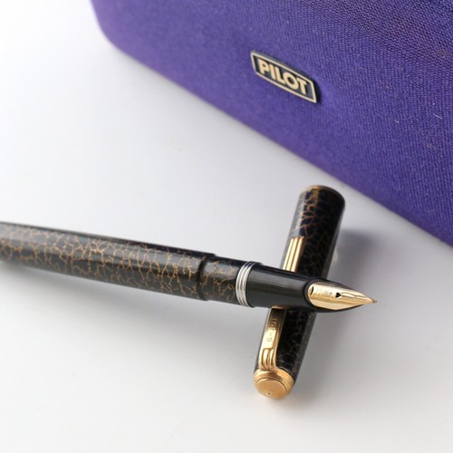 Penna stilografica pilot - penna,