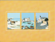 Cartellina Senape Litografie Aldo Riso 23x17