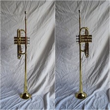 Tromba araldica chiarina - tromba,