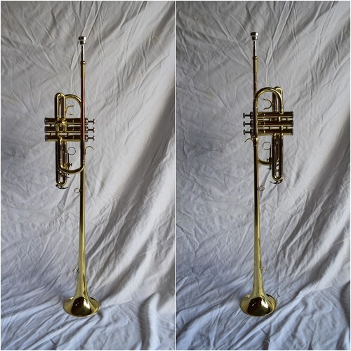 Tromba araldica chiarina - chiarina, 3