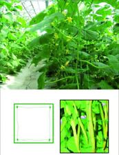 RETE PER PIANTE RAMPICANTI IN