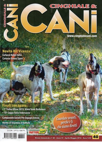 Cinghiale cani 2016 40 - cinghiale,