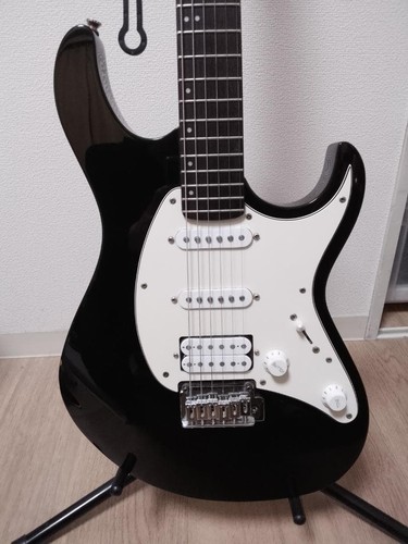 Cort 210 - cort, gx-210