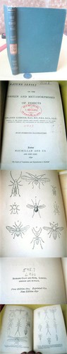 Origin and metamorphoses - origin, of