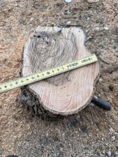 Legno Di Ulivo Pezzo Bellissimo Indicato Per Taglieri Lampadario O Appendi Abiti