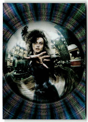 Panini harry potter - panini,