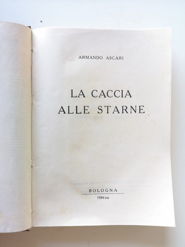 Caccia alle starnie - caccia,