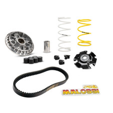 MALOSSI VARIATOR KIT & DRIVE