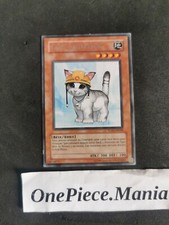 Yu-Gi-Oh! TU01-FR008 gatto