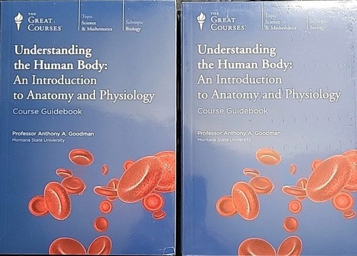 Great courses understanding - great,