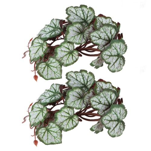 2pcs foglie heuchera - 2pcs,