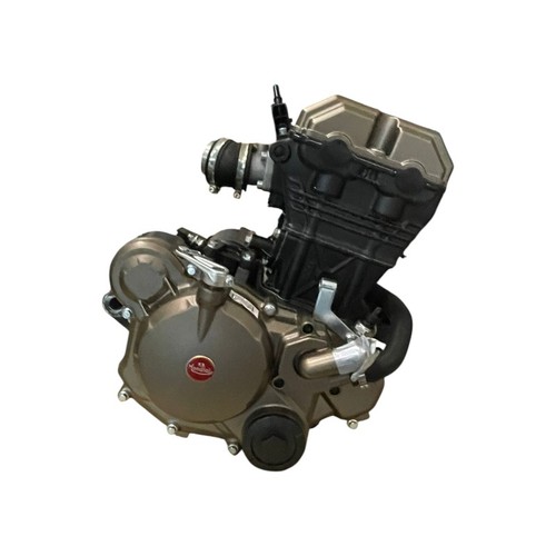 Motore completo flat track - motore,