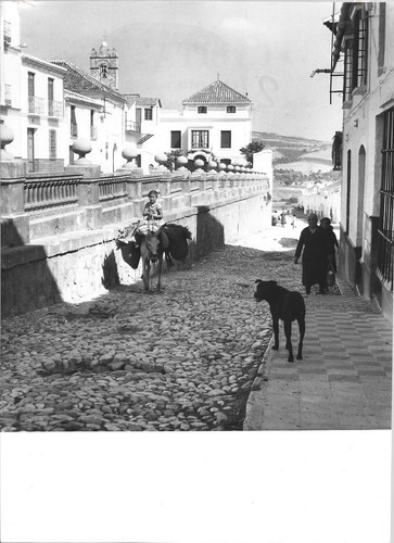 Foto autore la via - "la,