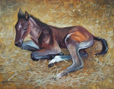 Dipinto ad olio originale