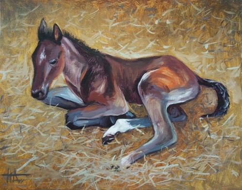 Dipinto olio originale - ad,