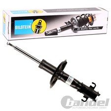 Ammortizzatore pressione gas