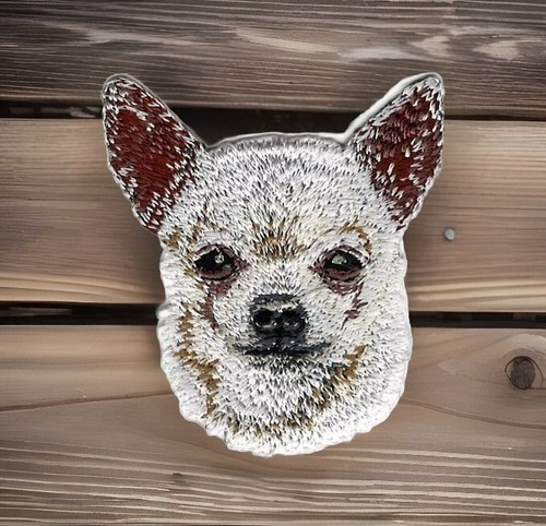 Toppa cane chihuahua - , bianca