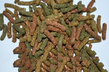 ALIMENTO VEGETALE PER