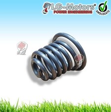 MOLLA SUPPORTO MOTORE