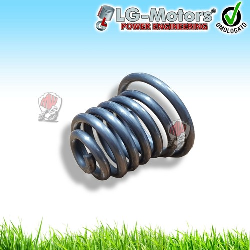 Molla supporto motore - molla,