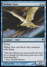 MTG 4x WELKIN TERN EXC - STERNA DEL CIELO - ZEN - MAGIC