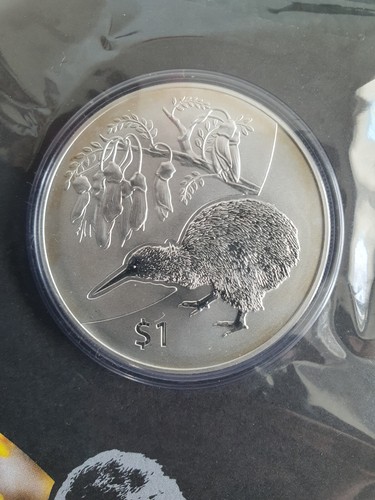 Kiwi treasures 2012 - 1, nuova