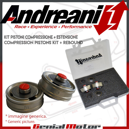 Andreani pistoni pompanti - andreani,