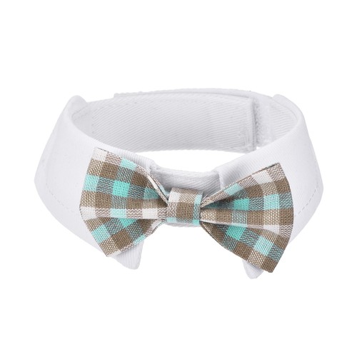Collare con papillon - con,