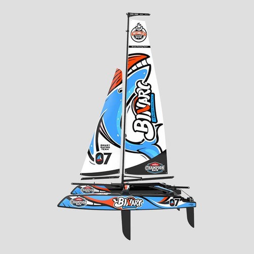 Joysway binary catamarano - binary,